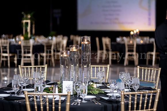 HBA_ScholarshipBall_EliosPhoto©2025-5