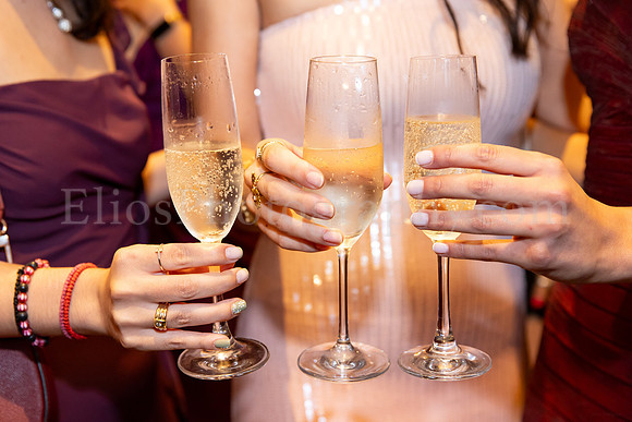 PHSF_Gala_EliosPhoto©2026-66