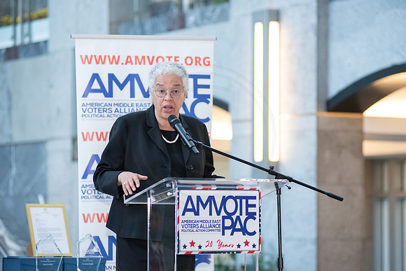 AmVote_20th_EliosPhoto©2024-83