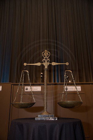 NHMTrial-EliosPhotography2017-187