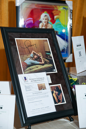 HCRF_WingsToCure_EliosPhoto©2023-29