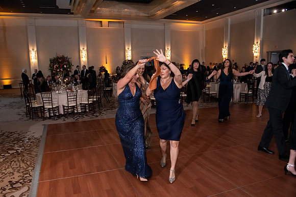 HBA_ScholarshipBall_EliosPhoto©2023-279