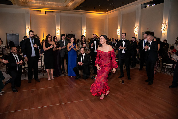 HBA_ScholarshipBall_EliosPhoto©2023-345