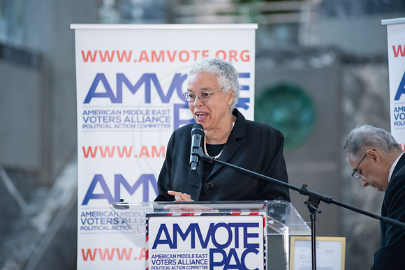 AmVote_20th_EliosPhoto©2024-79